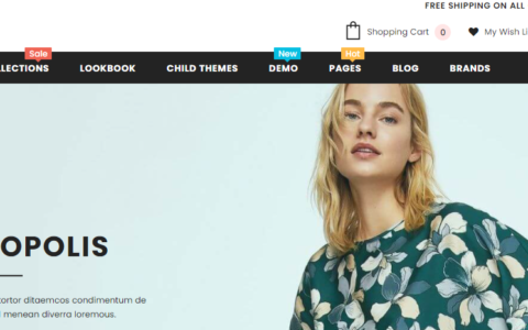 Shopify 独立站优秀的主题模板themes 2020版